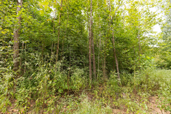 property photo for Big White Oak Tract 93, 14.06 acres for sale in Perry County, Tennessee