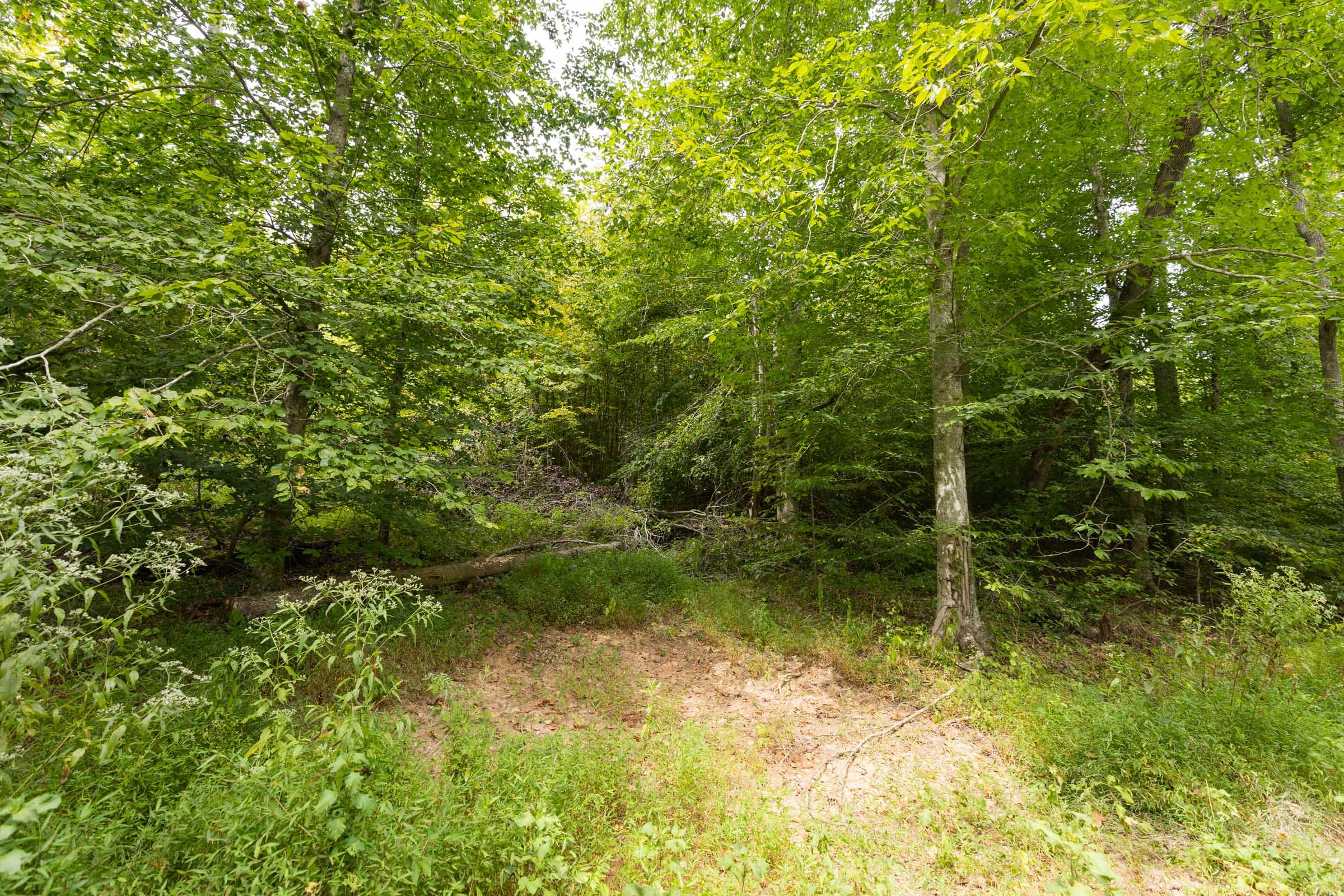 Tract 94 at Big White Oak in Perry County, Tennessee