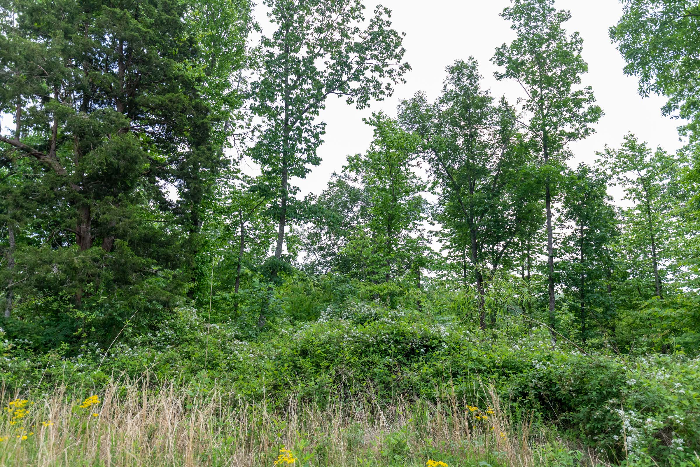 Tract 10 at Cedar Creek in Perry County, Tennessee