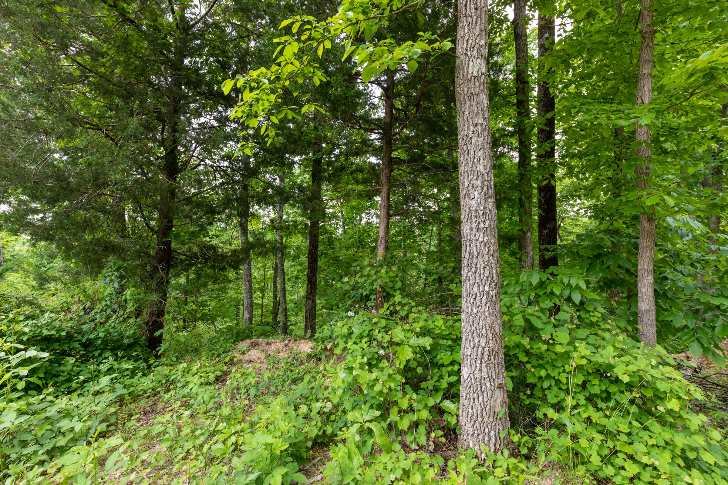 Tract 20 at Cedar Creek in Perry County, Tennessee