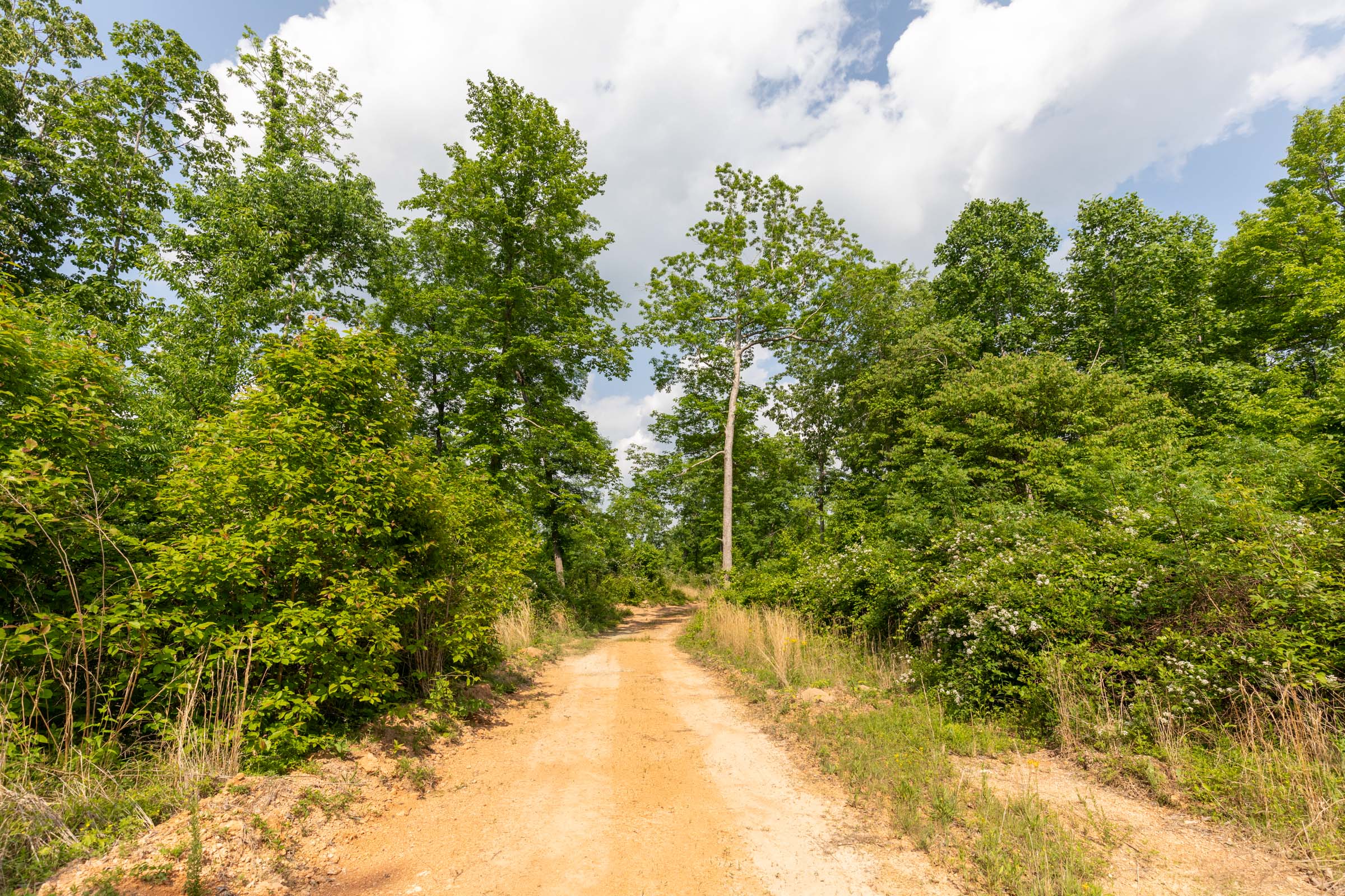 Tract 21 at Cedar Creek in Perry County, Tennessee