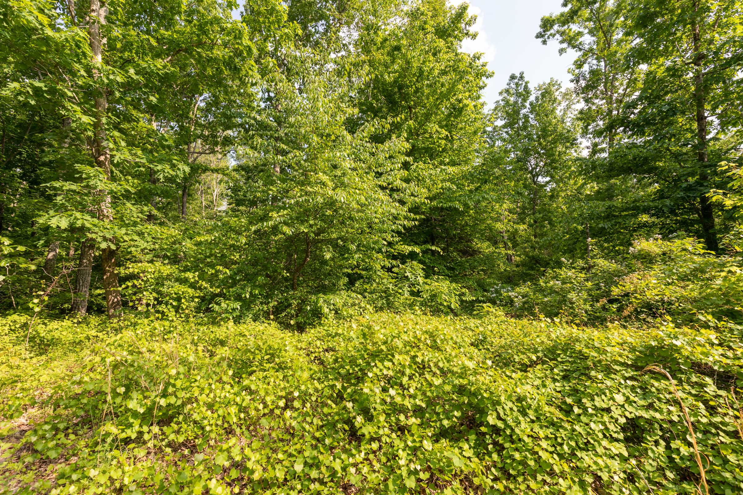 Tract 25 at Cedar Creek in Perry County, Tennessee