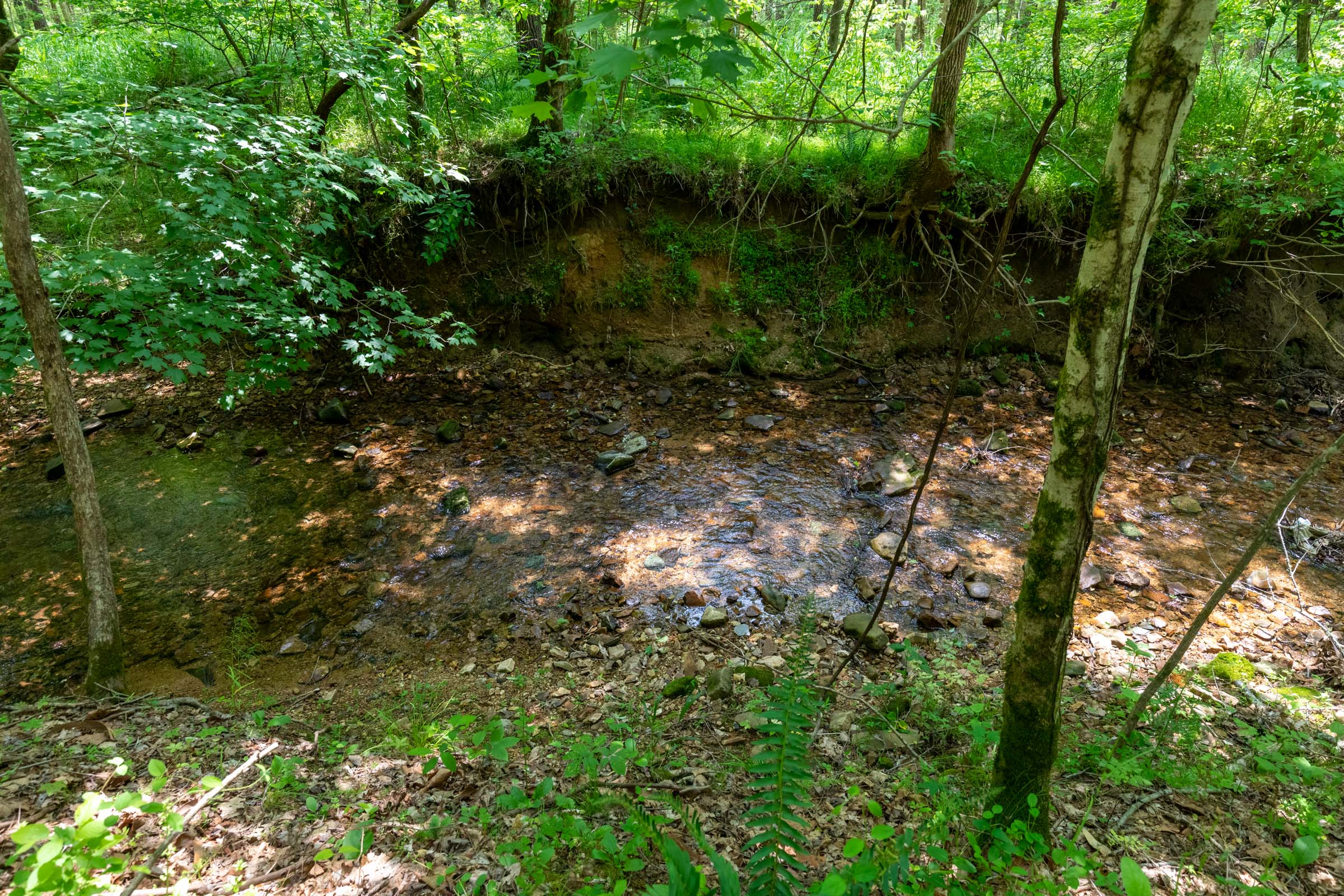 Tract 34 at Cedar Creek in Perry County, Tennessee