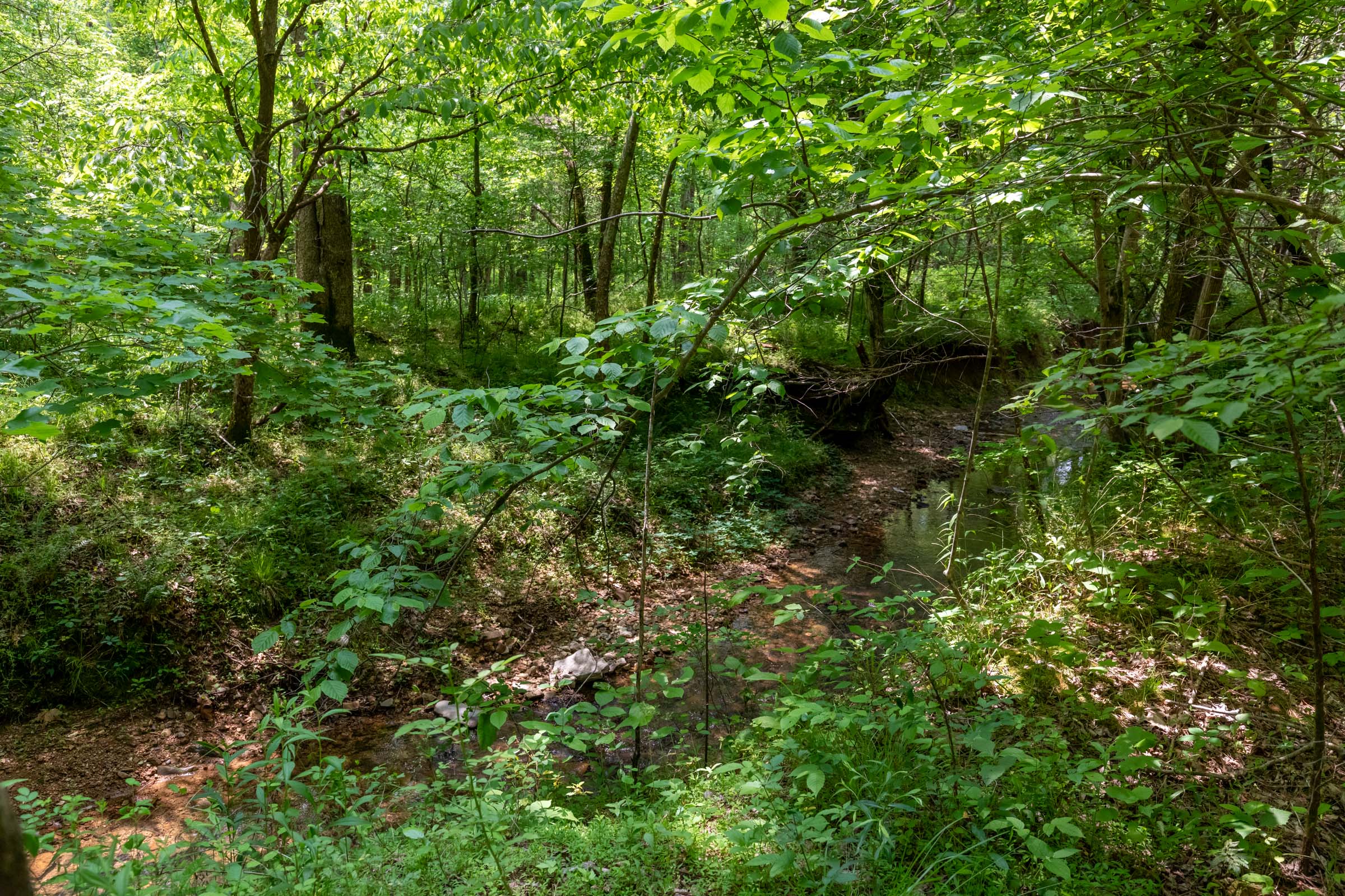 Tract 35 at Cedar Creek in Perry County, Tennessee