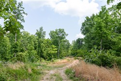 property photo for Cedar Creek Tract 40, 5.6 acres for sale in Perry County, Tennessee