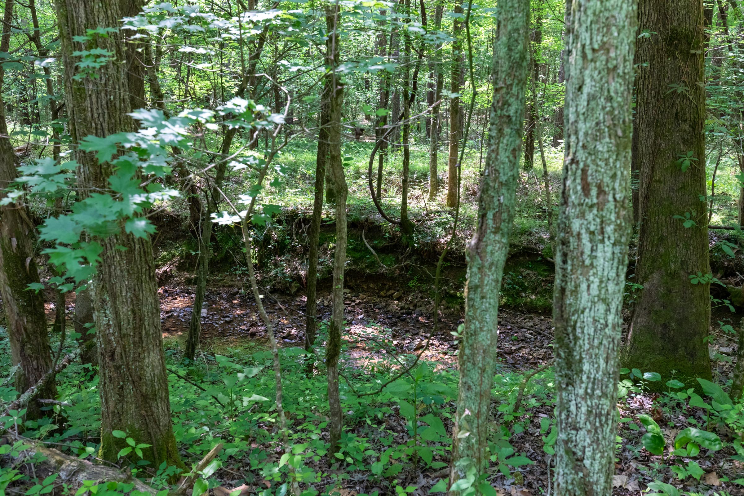 Tract 43 at Cedar Creek in Perry County, Tennessee