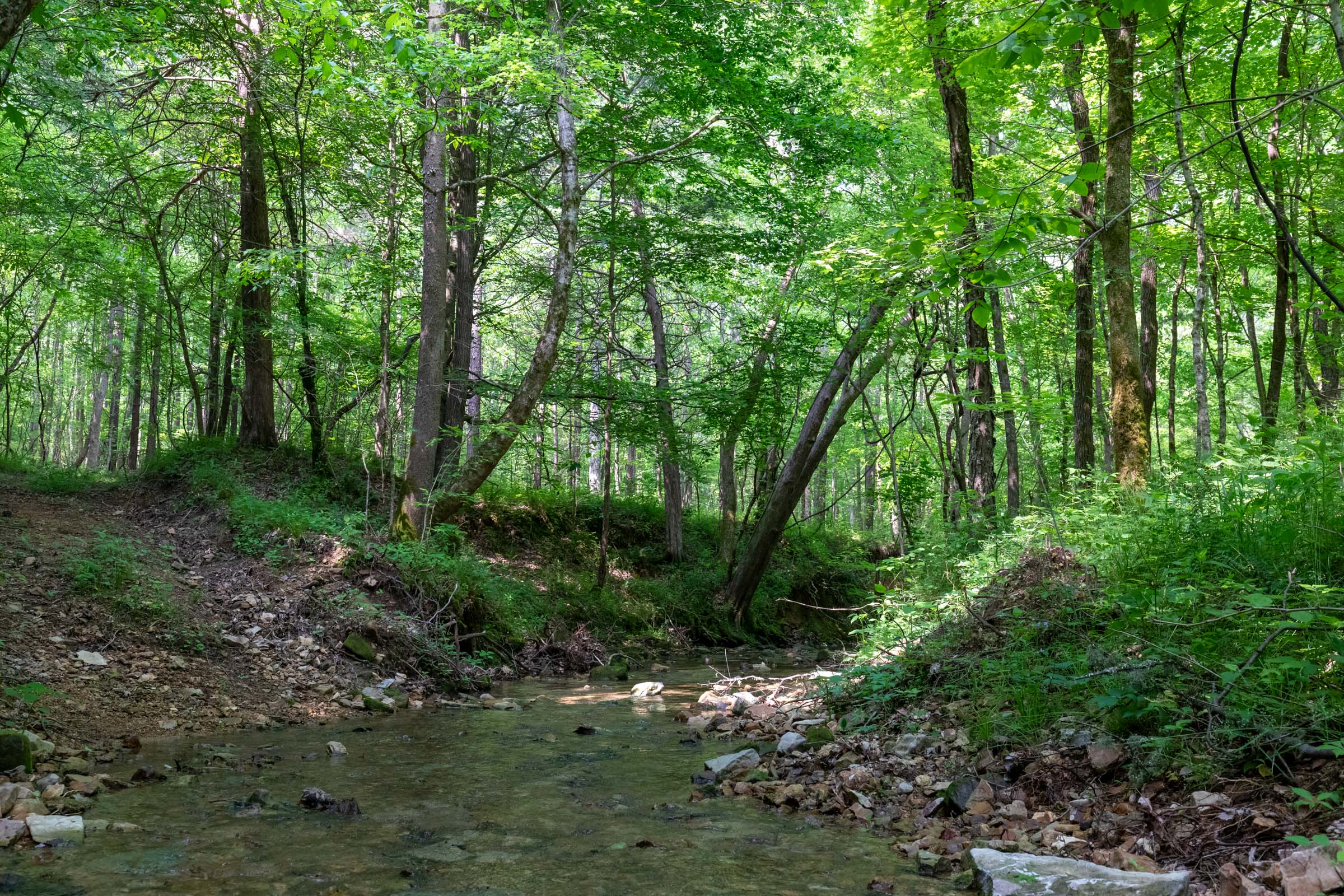 Tract 47 at Cedar Creek in Perry County, Tennessee