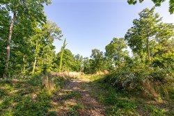 property photo for Cedar Creek Tract 52, 5.03 acres for sale in Perry County, Tennessee