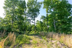 property photo for Cedar Creek Tract 52, 5.03 acres for sale in Perry County, Tennessee