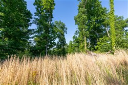 property photo for Cedar Creek Tract 52, 5.03 acres for sale in Perry County, Tennessee