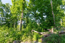 property photo for Cedar Creek Tract 52, 5.03 acres for sale in Perry County, Tennessee
