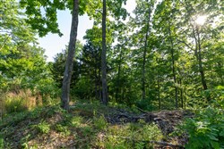 property photo for Cedar Creek Tract 52, 5.03 acres for sale in Perry County, Tennessee