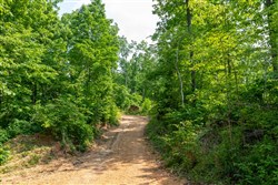 property photo for Cedar Creek Tract 59, 4.96 acres for sale in Perry County, Tennessee