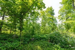 property photo for Cedar Creek Tract 59, 4.96 acres for sale in Perry County, Tennessee