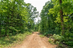 property photo for Cedar Creek Tract 59, 4.96 acres for sale in Perry County, Tennessee