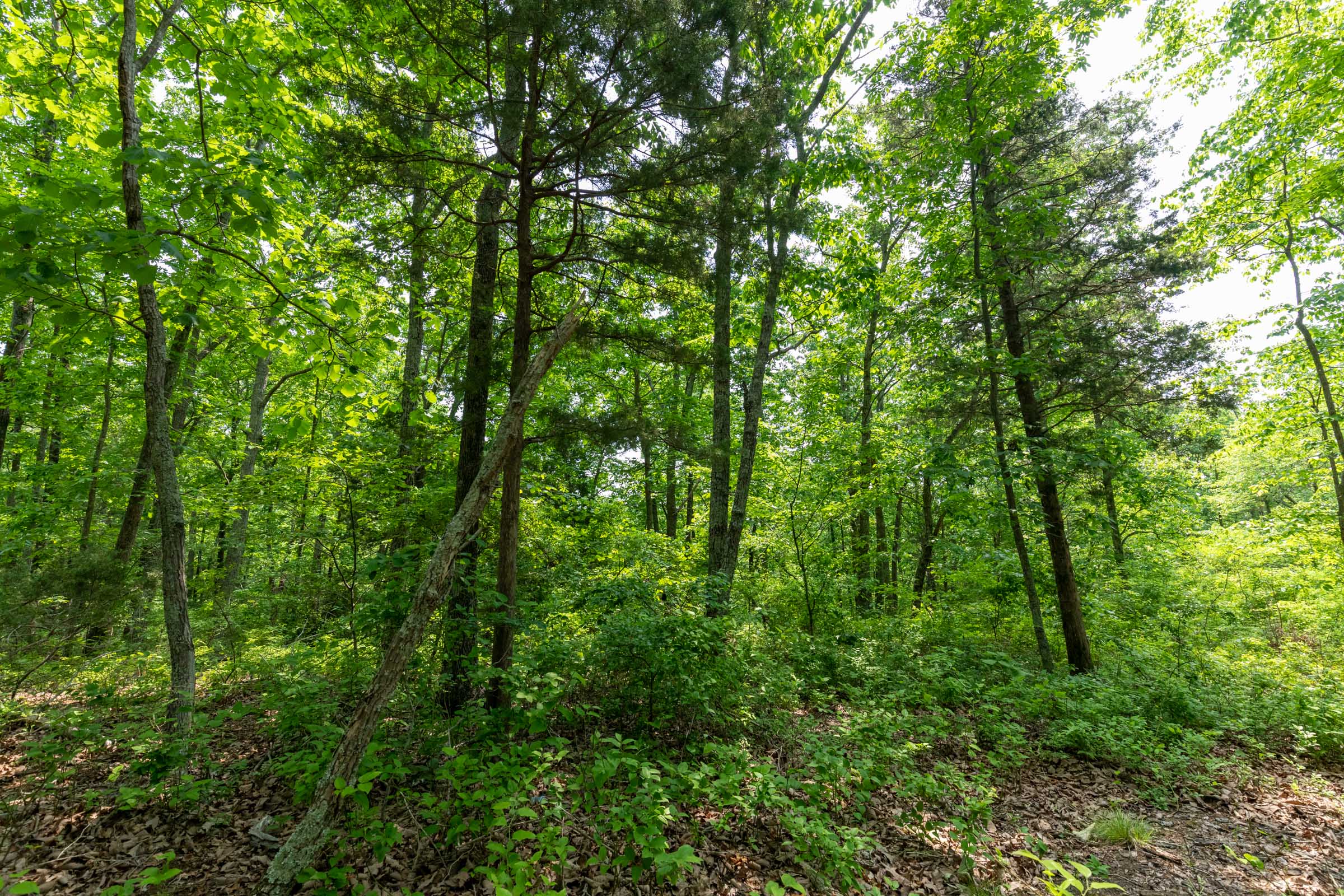 Tract 7 at Cedar Creek in Perry County, Tennessee