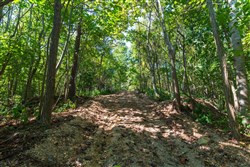 property photo for Redemption Ridge Tract 10, 5.16 acres for sale in Wayne County, Tennessee
