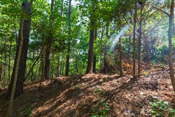 property photo for Redemption Ridge Tract 10, 5.16 acres for sale in Wayne County, Tennessee