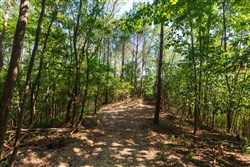 property photo for Redemption Ridge Tract 10, 5.16 acres for sale in Wayne County, Tennessee