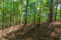property photo for Redemption Ridge Tract 10, 5.16 acres for sale in Wayne County, Tennessee