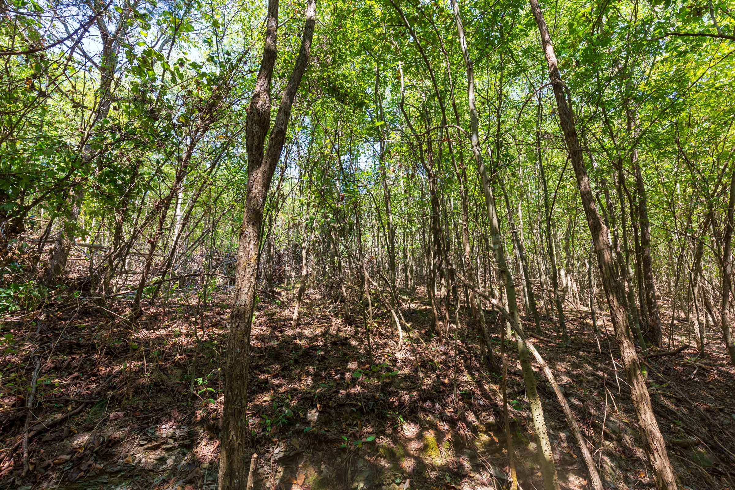 Tract 19 at Redemption Ridge in Wayne County, Tennessee