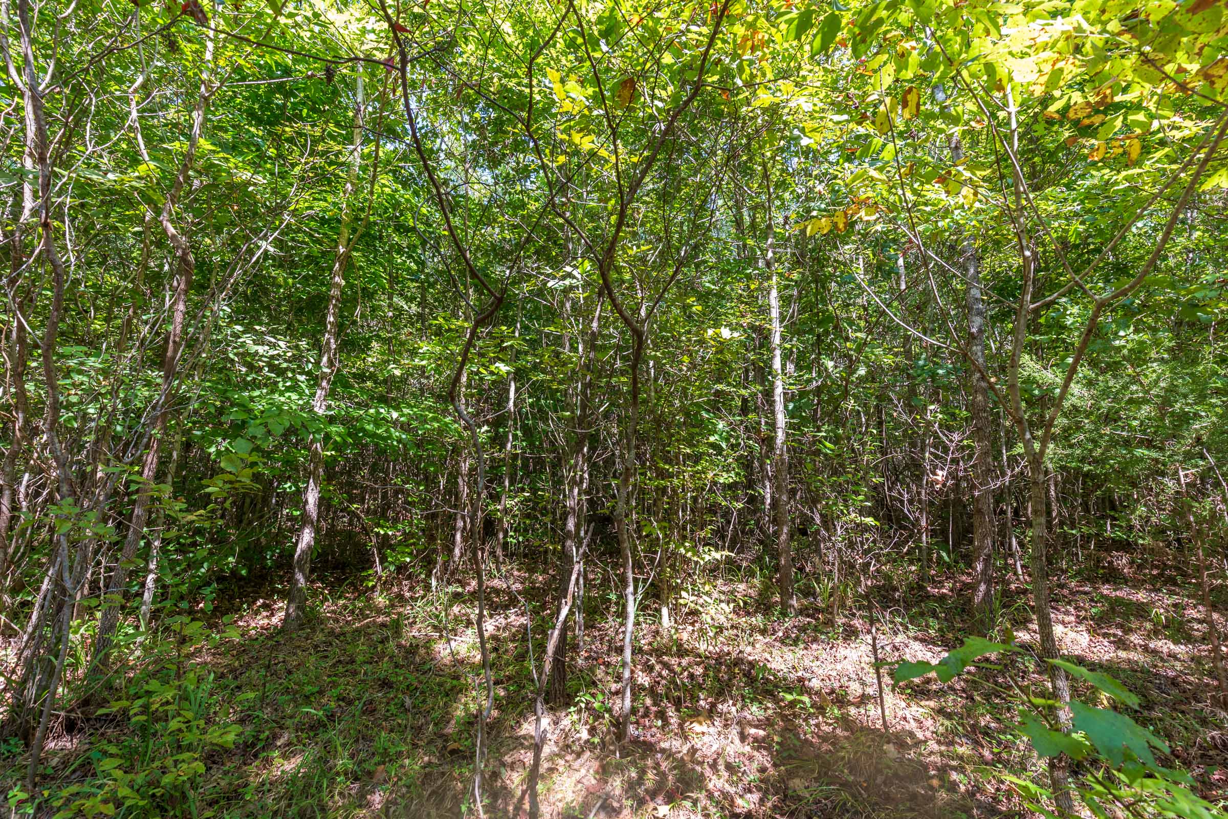 Tract 21 at Redemption Ridge in Wayne County, Tennessee