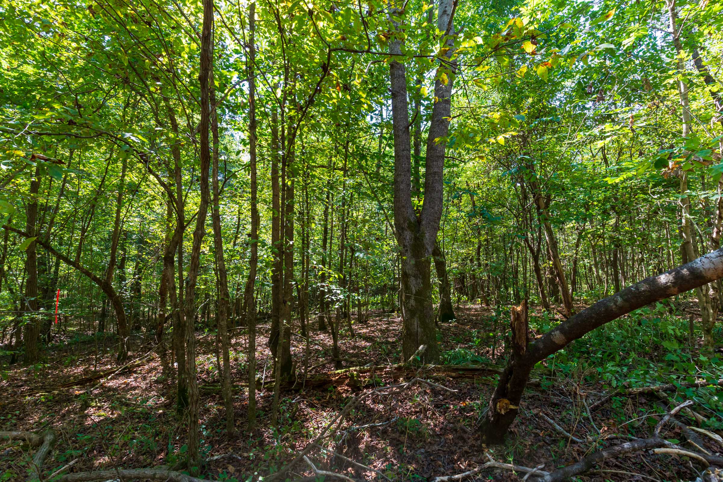 Tract 25 at Redemption Ridge in Wayne County, Tennessee