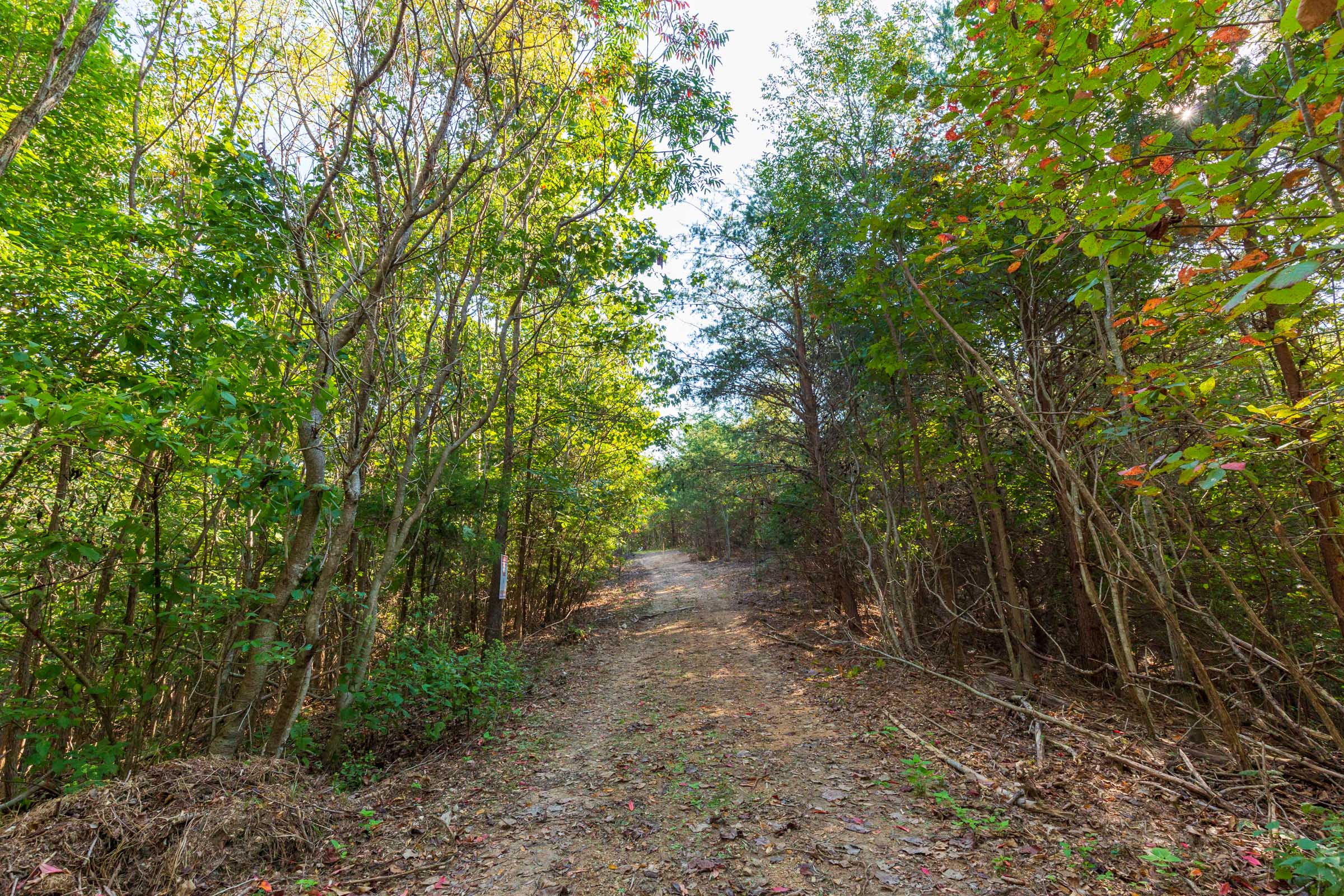Tract 4 at Redemption Ridge in Wayne County, Tennessee